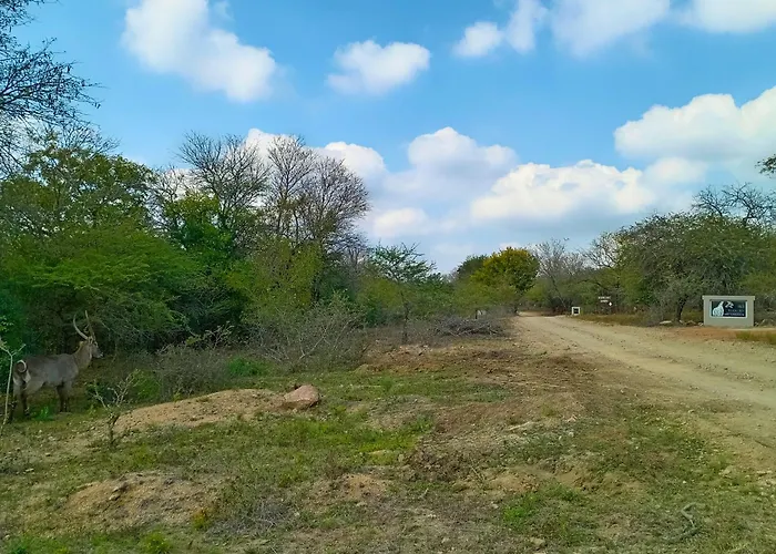 Longneck Luxury Bush Lodge