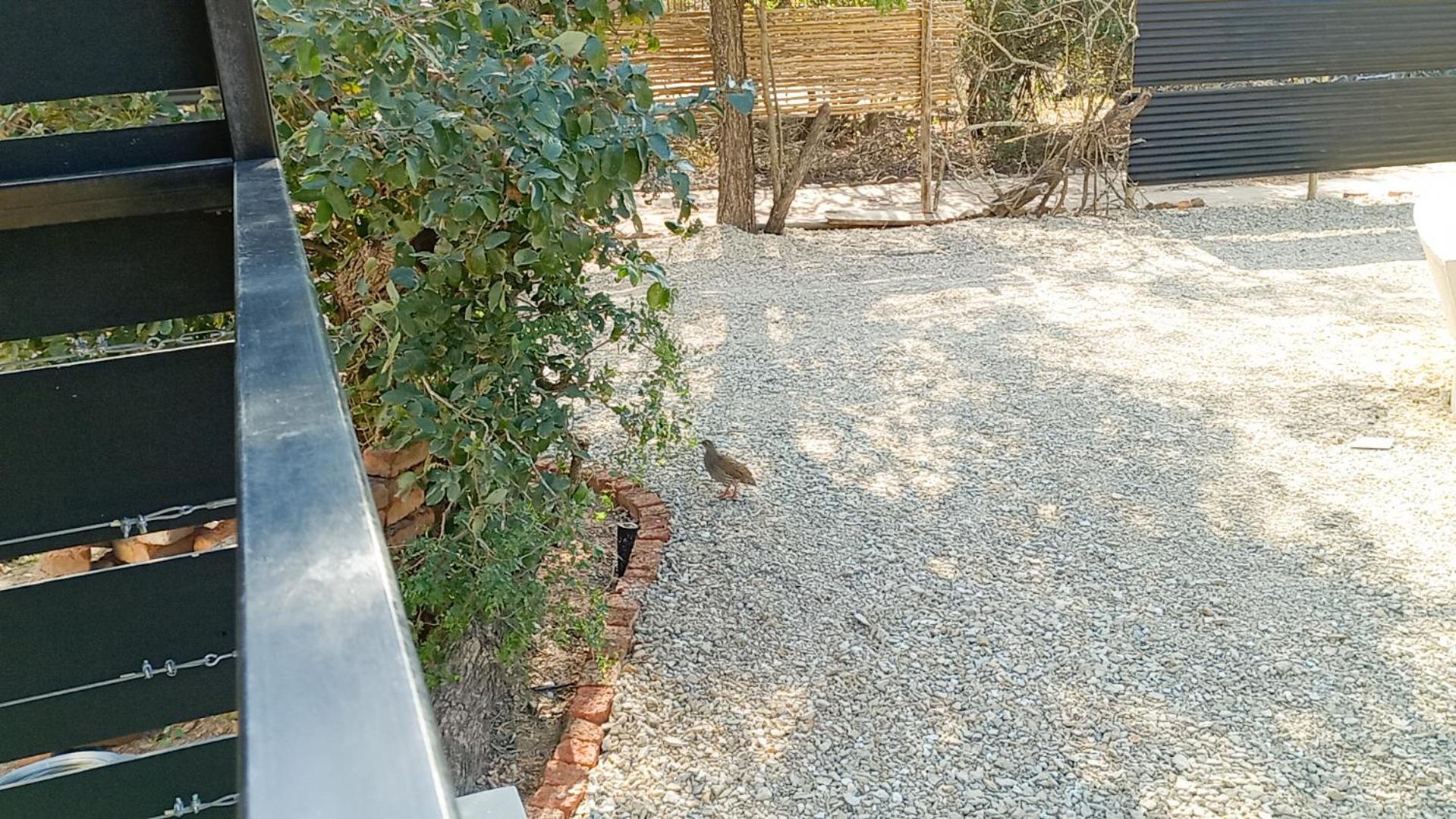 Longneck Luxury Bush Holiday home Marloth Park