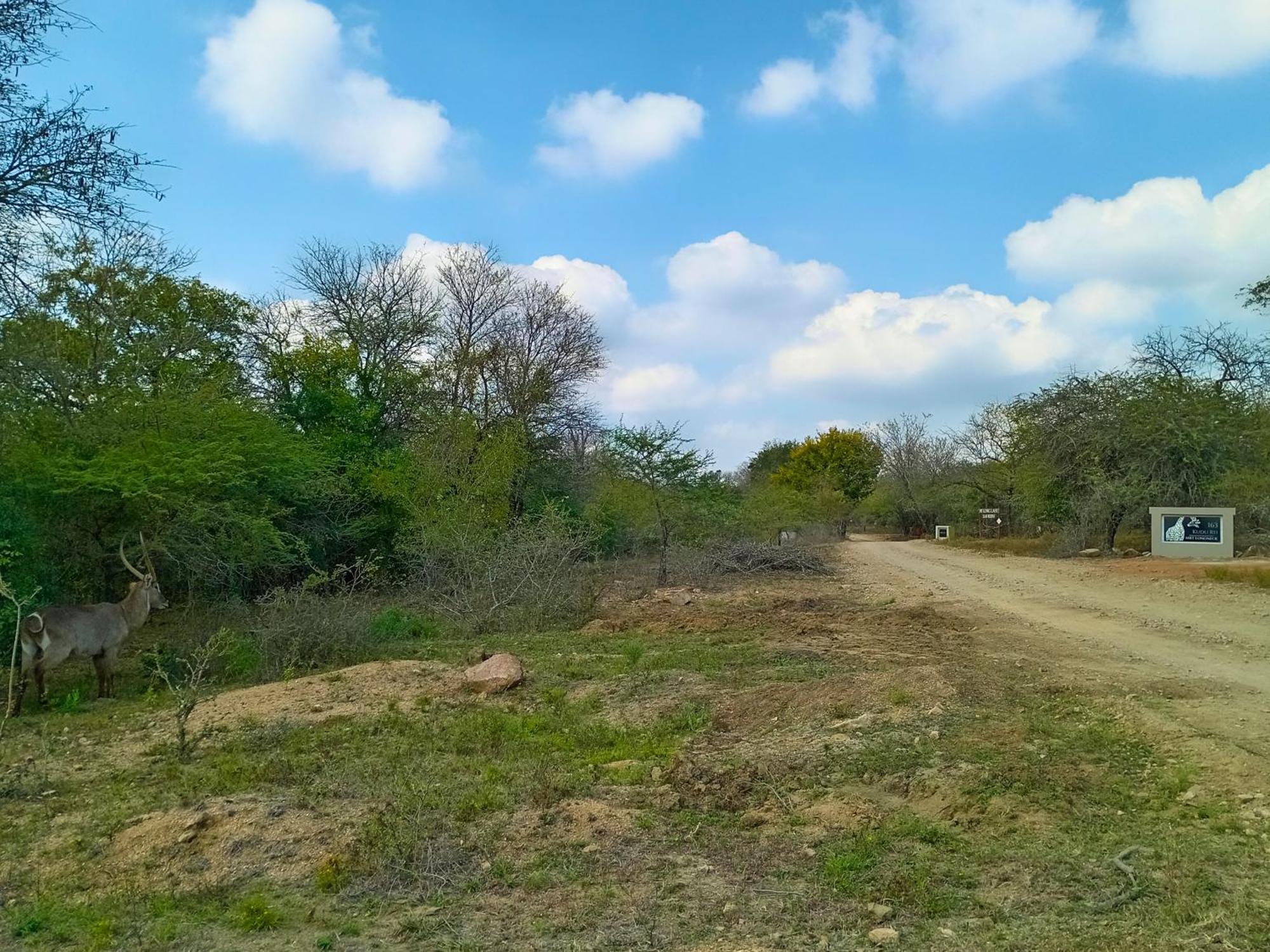 Longneck Luxury Bush Marloth Park