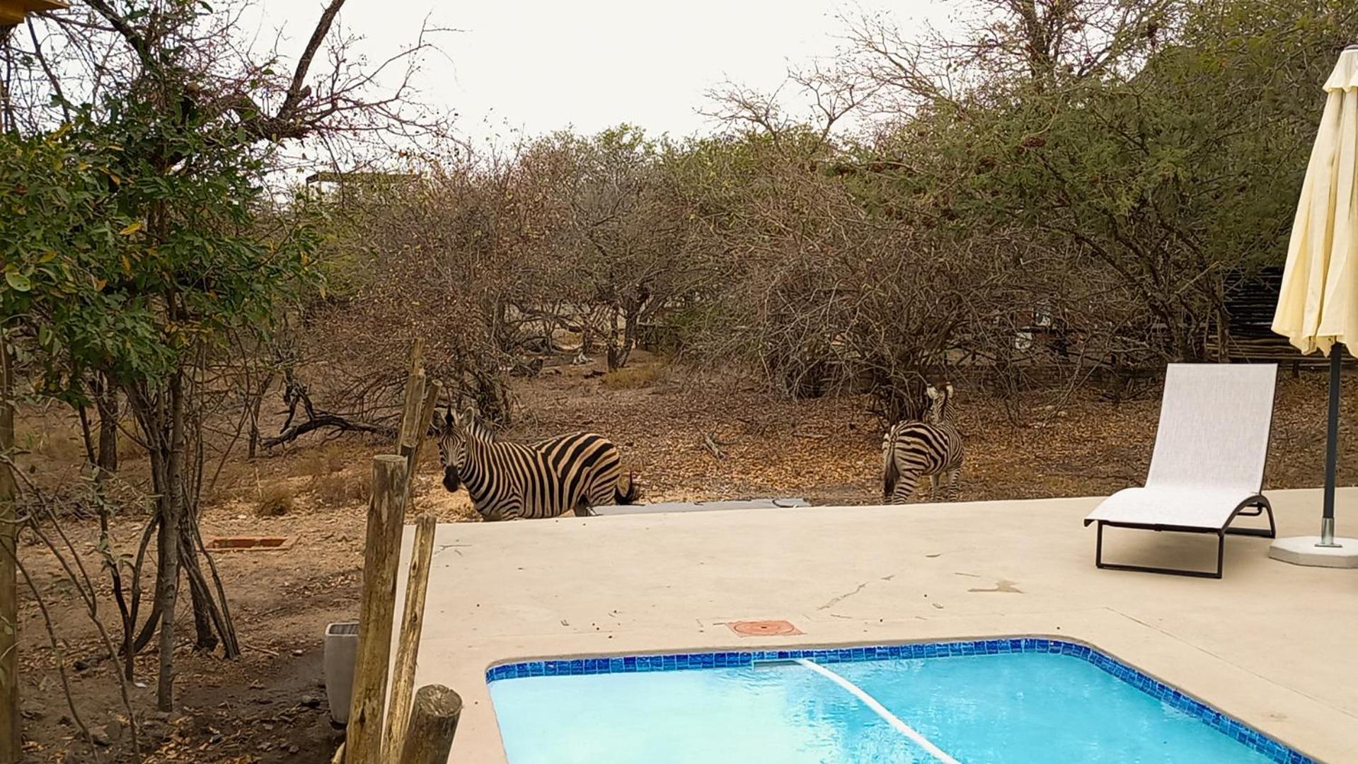 Longneck Luxury Bush Holiday home