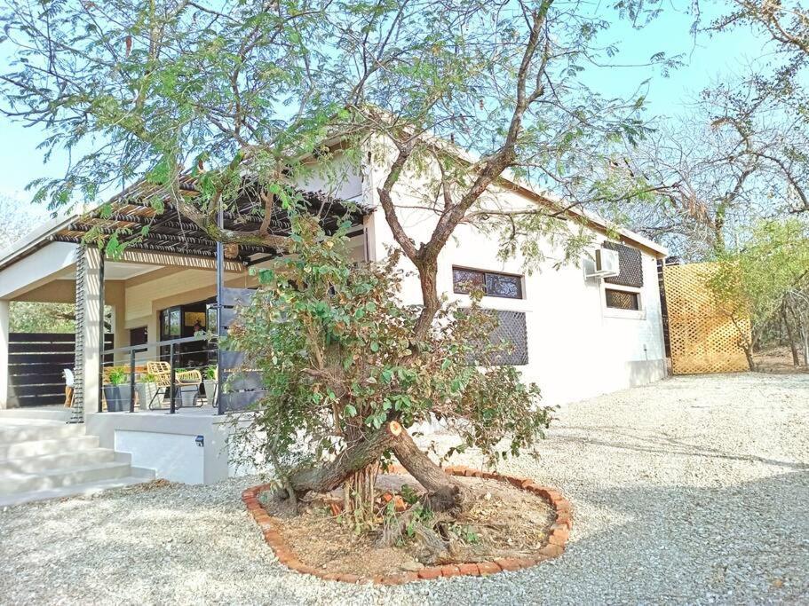 Holiday home Longneck Luxury Bush *