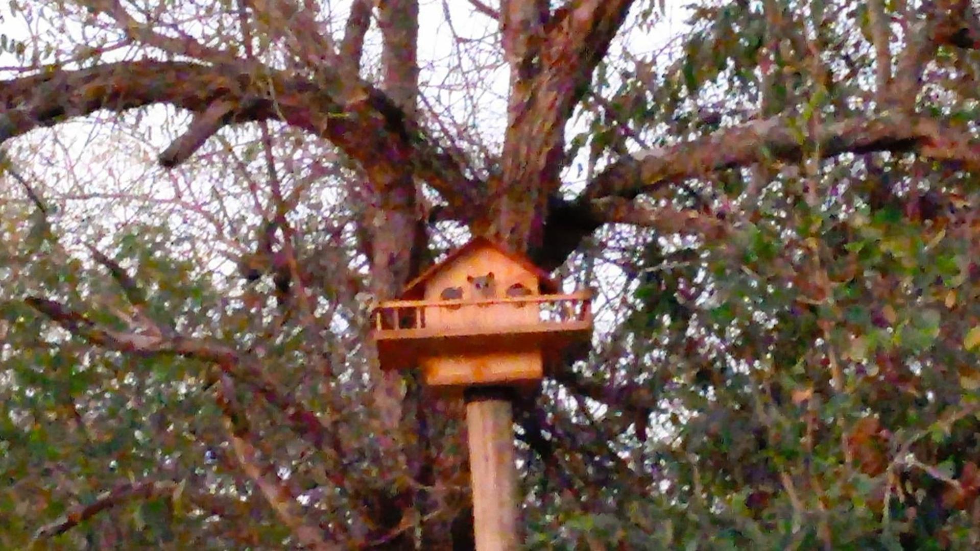 Longneck Luxury Bush Holiday home *